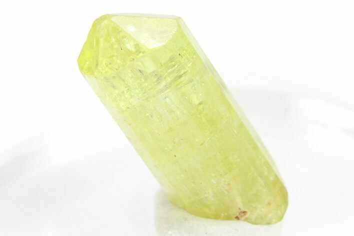 Gemmy Yellow-Green Apatite Crystal - Morocco #276529